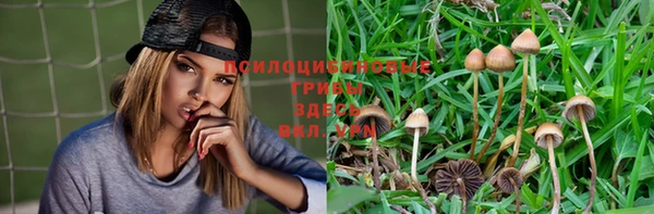 кокаин перу Алексин
