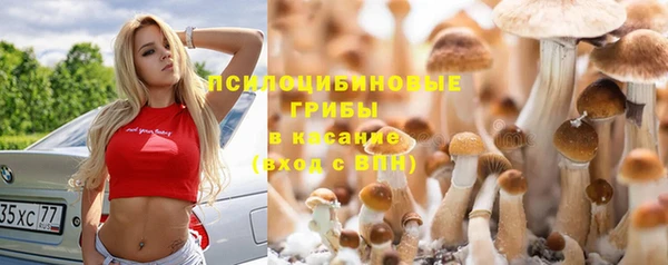 a pvp Абдулино